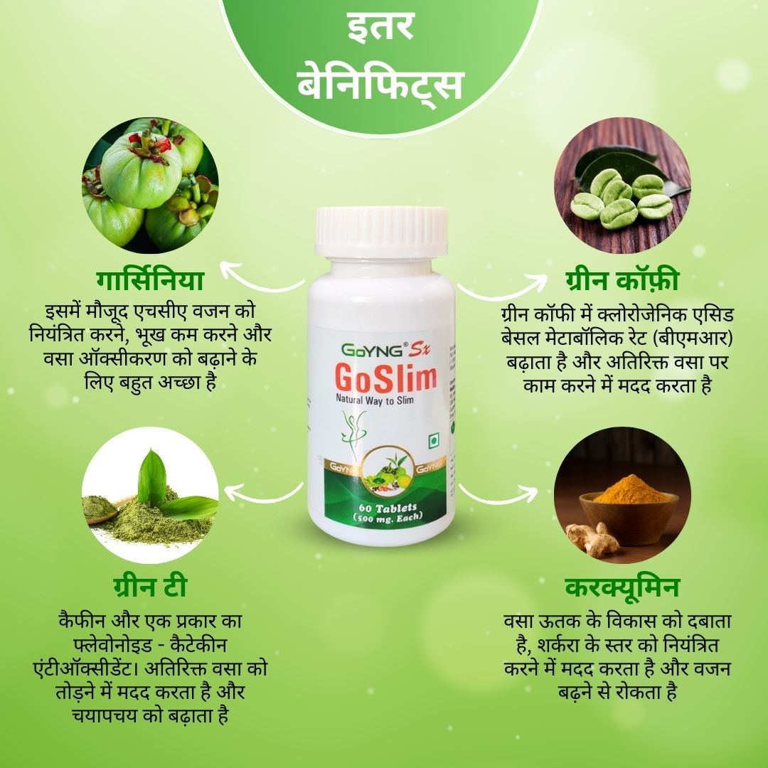 GoYNG GoSLIM - Image 8