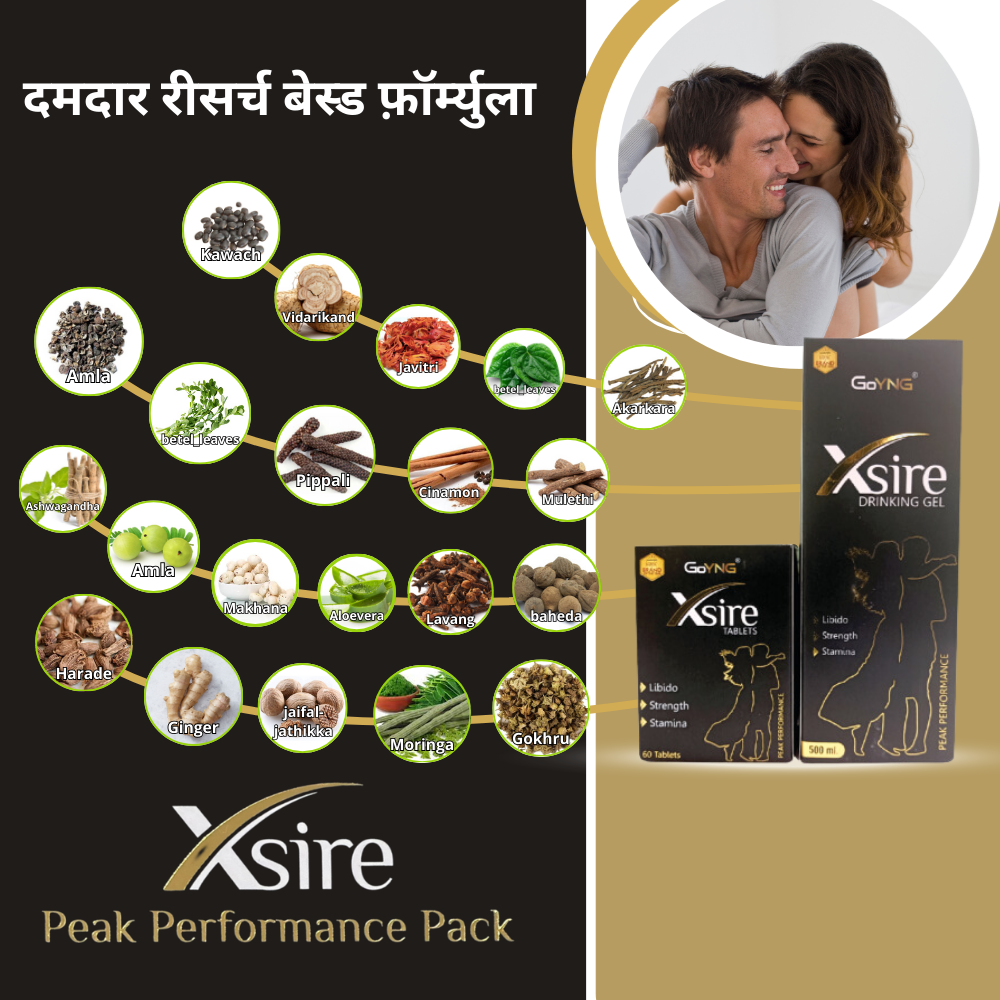 GoYNG XSire - Image 3