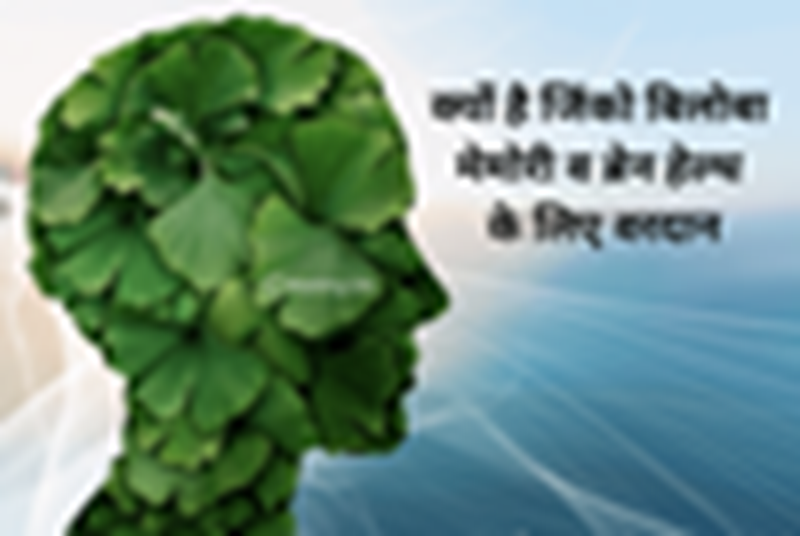 Read more about the article क्यों है जिंको बिलोबा – मेमोरी व ब्रेन हेल्थ के लिए वरदान