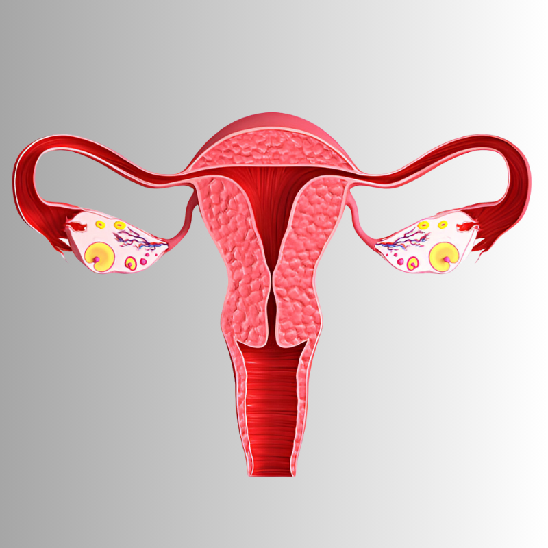 Untitled design (11)